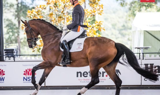 Brett Parbery on board Terry Snow's Willinga Park Emotion' Brett Parbery on board Terry Snow's Willinga Park Emotion'