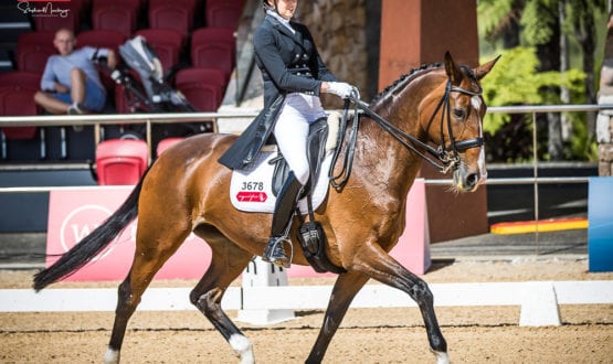 Victorian combination of Fiona Selby and 'Tacita' Victorian combination of Fiona Selby and 'Tacita'