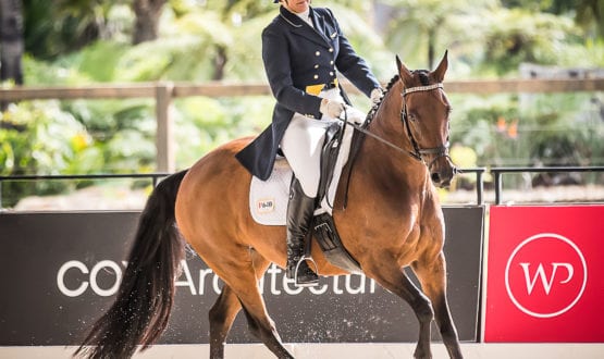 Competitor riding horse Competitor riding horse