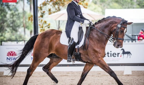 Denise Rogan and 'Virtuel 1' Denise Rogan and 'Virtuel 1'