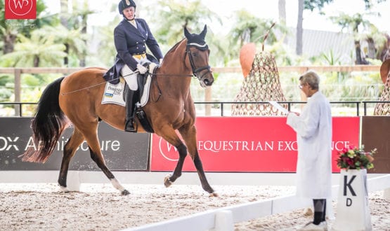 Sue Ellan Lovett and 'Desiderata' Sue Ellan Lovett and 'Desiderata'