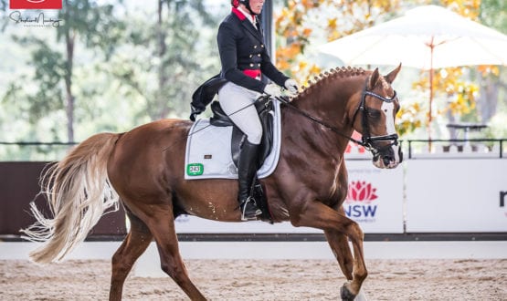 Dimity Lourey Dimity Lourey