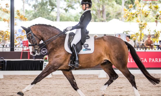 Jemma Heran and 'Hedelunds Mefisto' Jemma Heran and 'Hedelunds Mefisto'