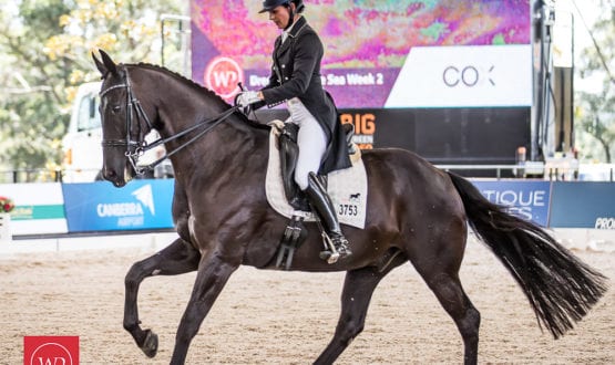 -Susan Elekessy and 'Don Rubin' -Susan Elekessy and 'Don Rubin'