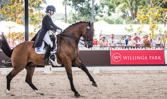 Mary Warren and 'Mindarah Park Raphael' Mary Warren and 'Mindarah Park Raphael'