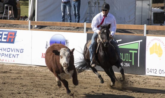Troy riding Romeo Child Troy riding Romeo Child
