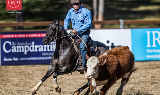 Pete Comiskey riding Sassy Catt Pete Comiskey riding Sassy Catt