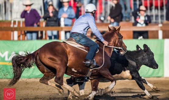 Peter Boulton riding 'Destinys Serenity' Peter Boulton riding 'Destinys Serenity'