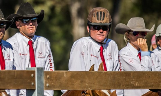 GB916134 (1) GB916134 (1)