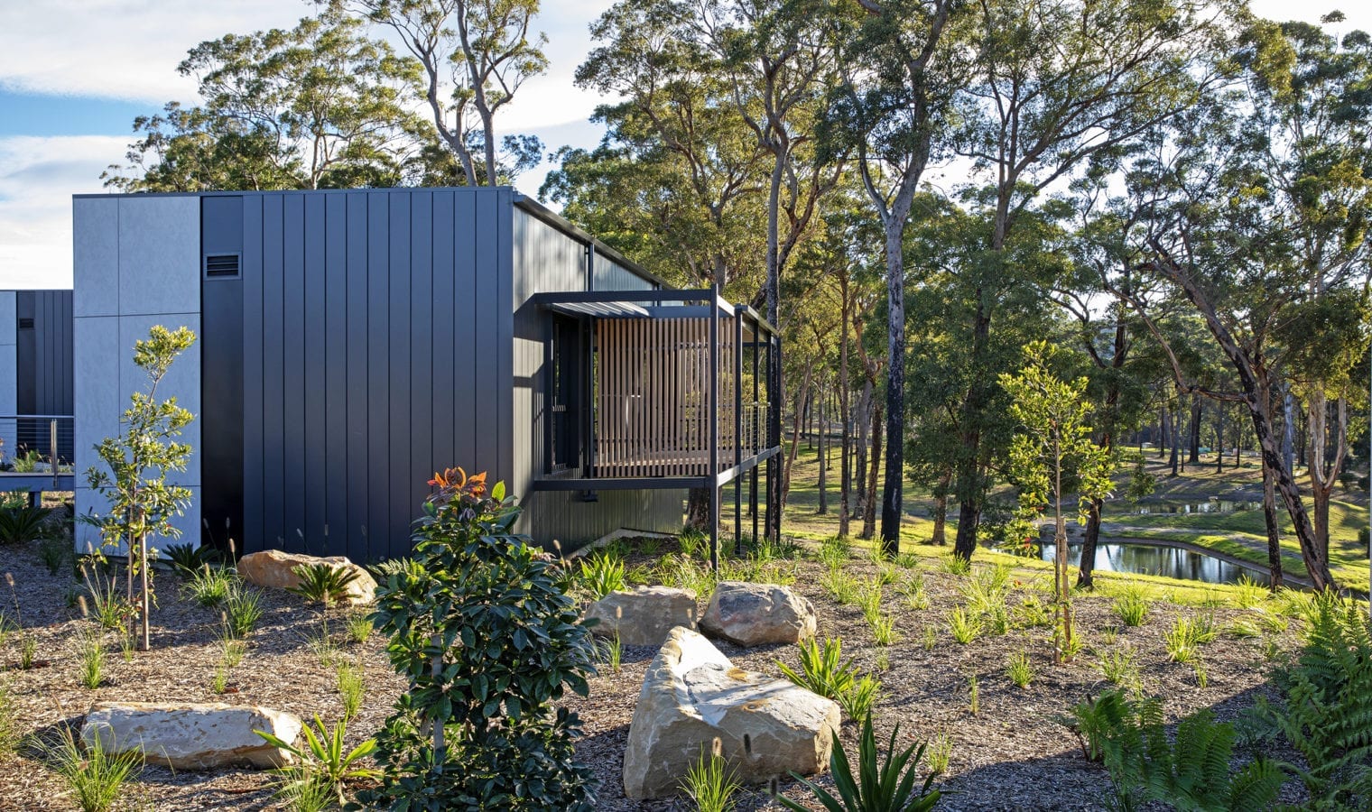 20190525_0127a smaller 20190525_0127a smaller