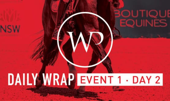 WP-DBTS social tiles facebook_DailyWrap_E1-D2_FA WP-DBTS social tiles facebook_DailyWrap_E1-D2_FA