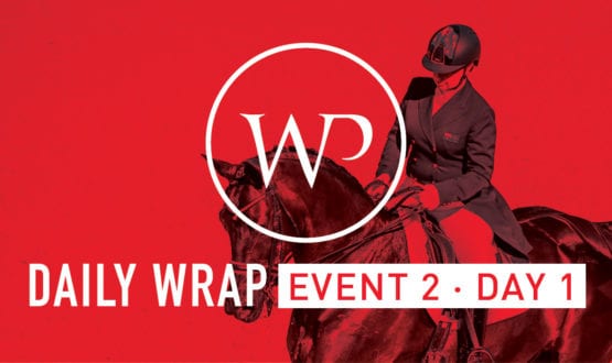 Daily Wrap Daily Wrap