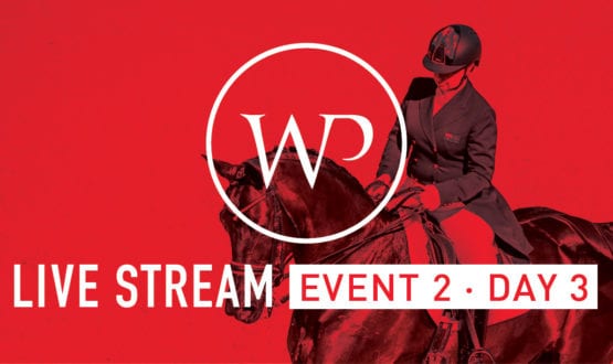 WP-DBTS social tiles facebook_LiveStram_E2-D3_FA WP-DBTS social tiles facebook_LiveStram_E2-D3_FA