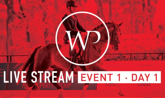 WP-DBTS social tiles facebook_LiveStream_E1-D1_FA WP-DBTS social tiles facebook_LiveStream_E1-D1_FA