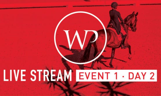 WP-DBTS social tiles facebook_LiveStream_E1-D2_FA WP-DBTS social tiles facebook_LiveStream_E1-D2_FA