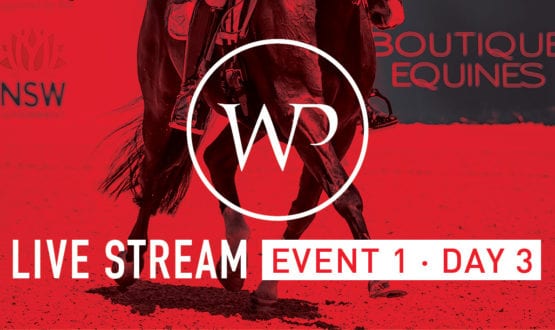 WP-DBTS social tiles facebook_LiveStream_E1-D3_FA WP-DBTS social tiles facebook_LiveStream_E1-D3_FA