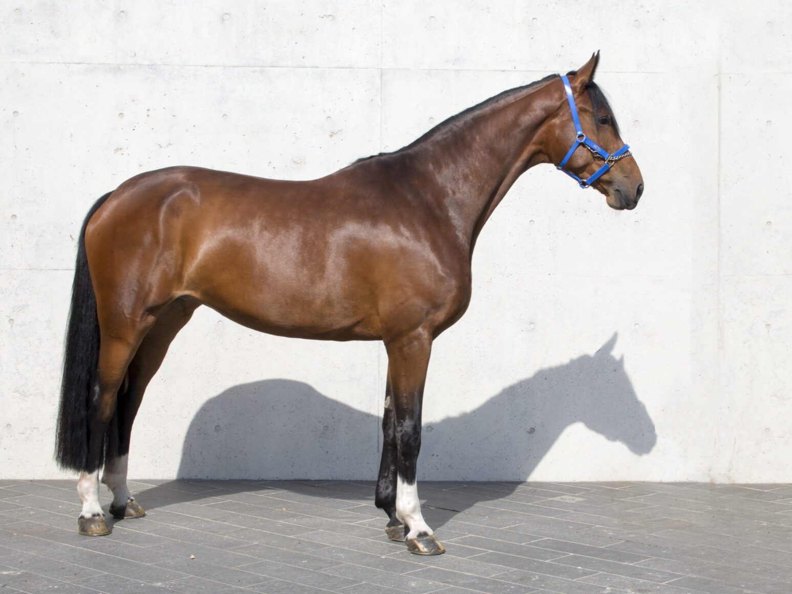 20180420_0033Emmi Bcrop 20180420_0033Emmi Bcrop