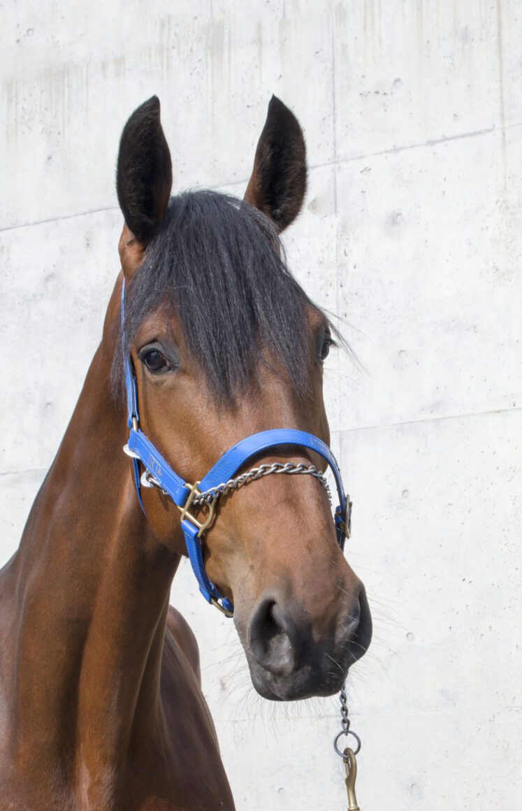 20180420_0044Emmi 20180420_0044Emmi