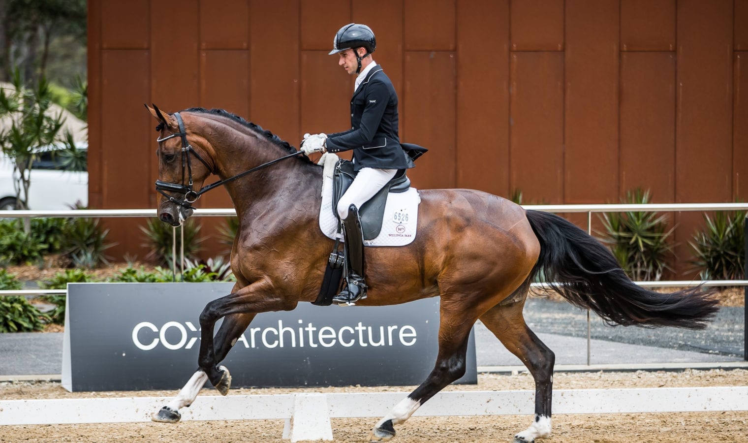 Emmy check Emmy check