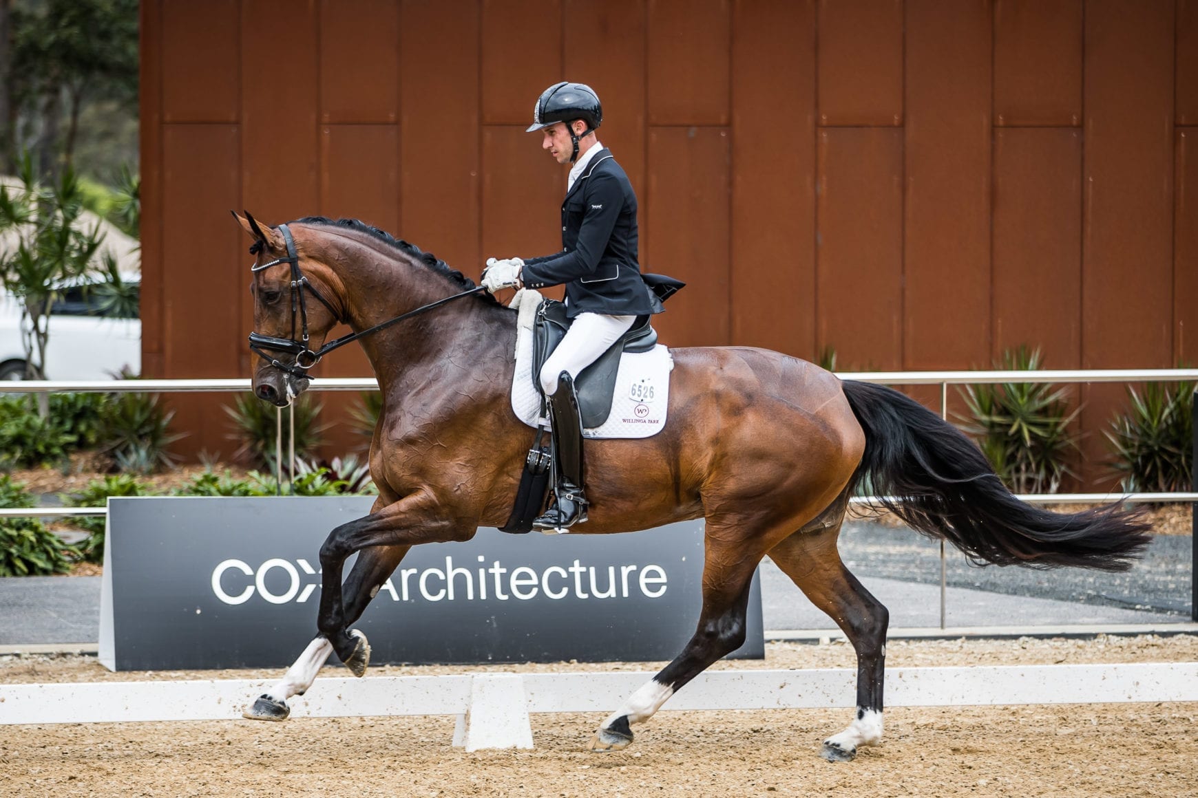 Emmy check Emmy check