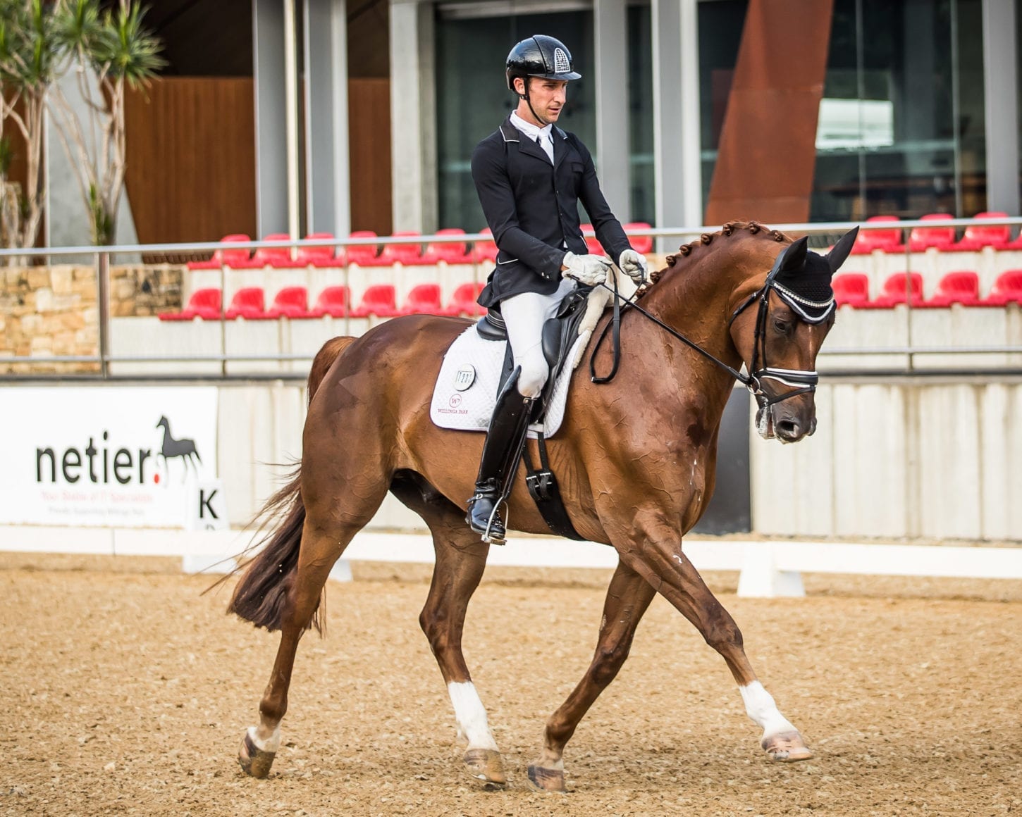 Jayden Brown and 'Quincy' Jayden Brown and 'Quincy'