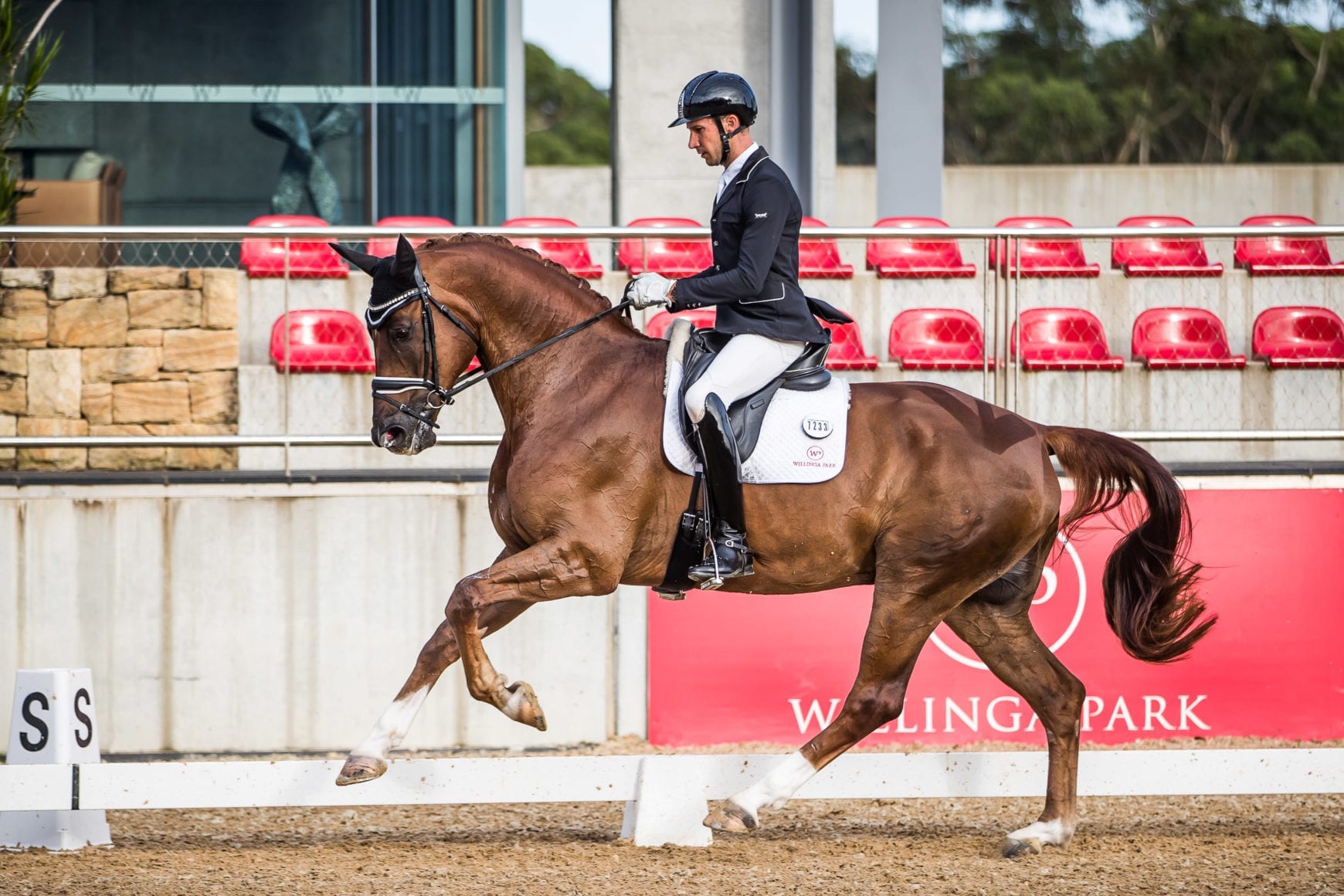 Jayden Brown and 'Quincy (2)' Jayden Brown and 'Quincy (2)'