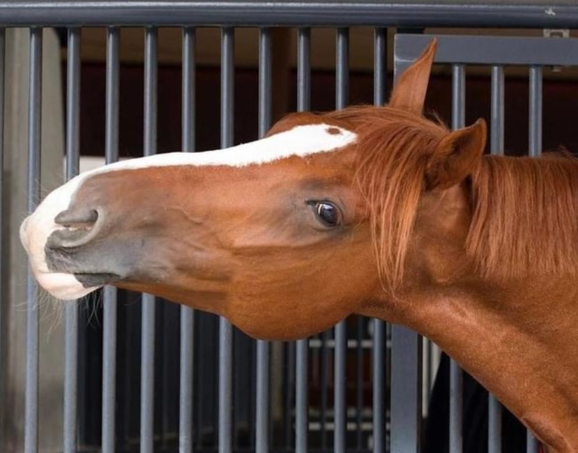 Screenshot 2022-06-28 130138