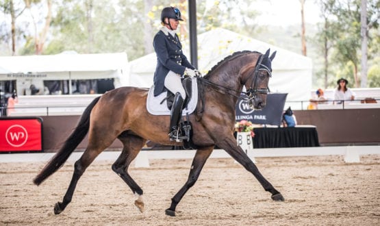 Dressage rider and horse, Mary Hanna and Calanta Dressage rider and horse, Mary Hanna and Calanta