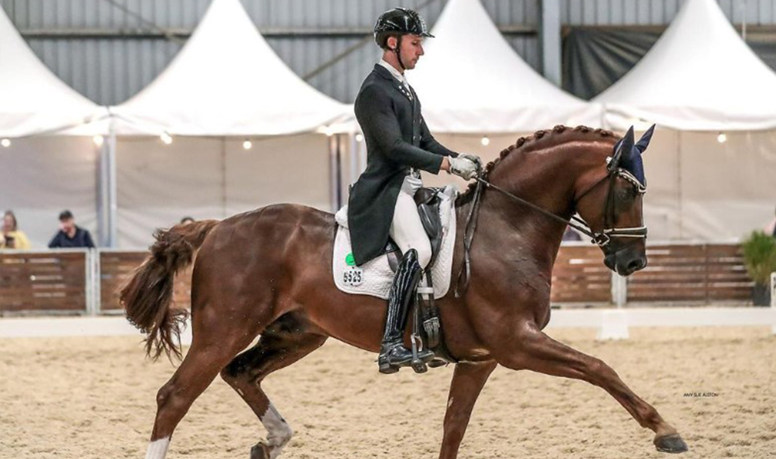 fangio web fangio web