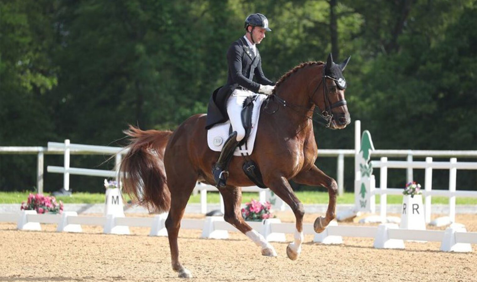 quincy b web quincy b web