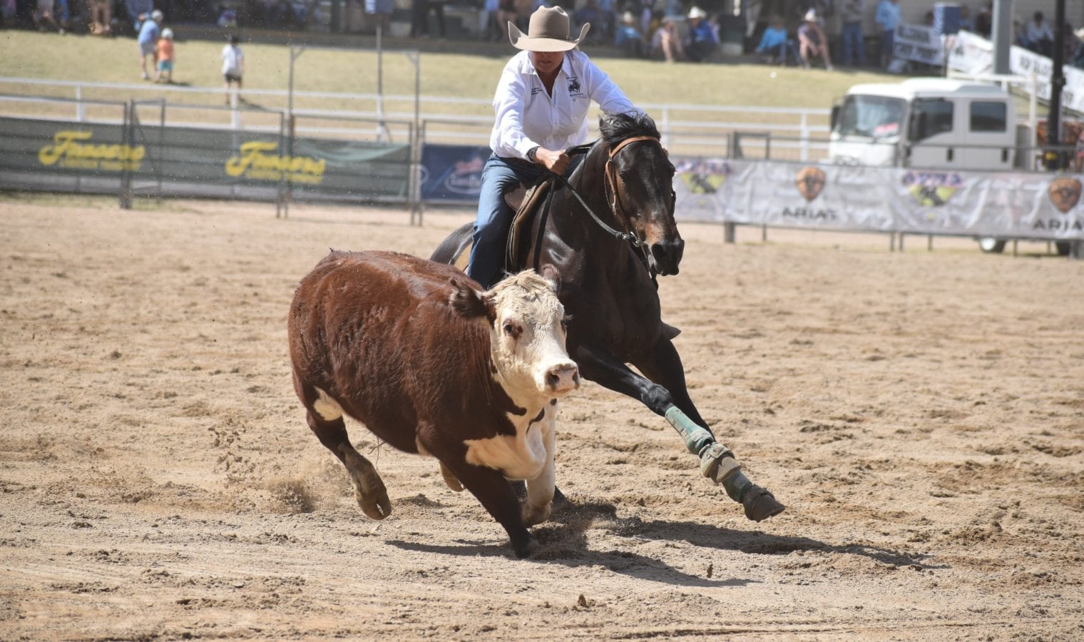 Kerry Turner campdrafting Kerry Turner