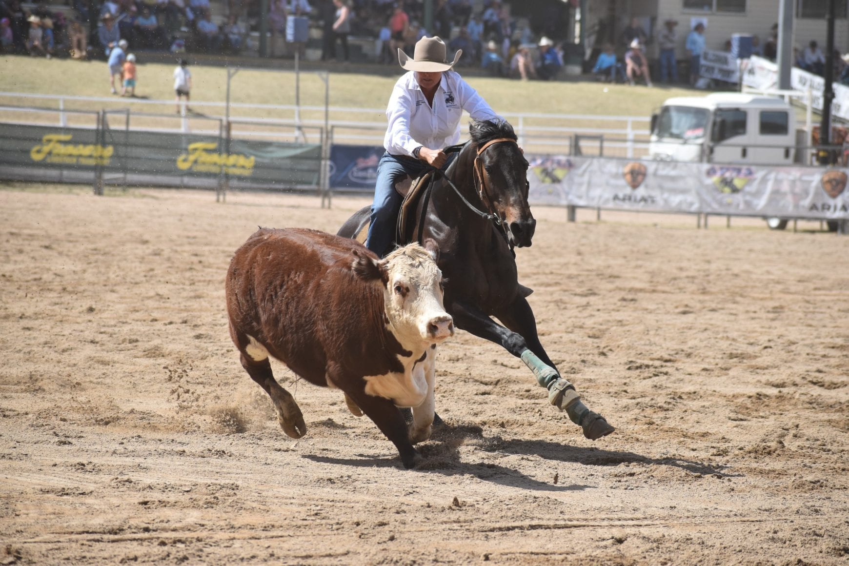 Kerry Turner campdrafting Kerry Turner