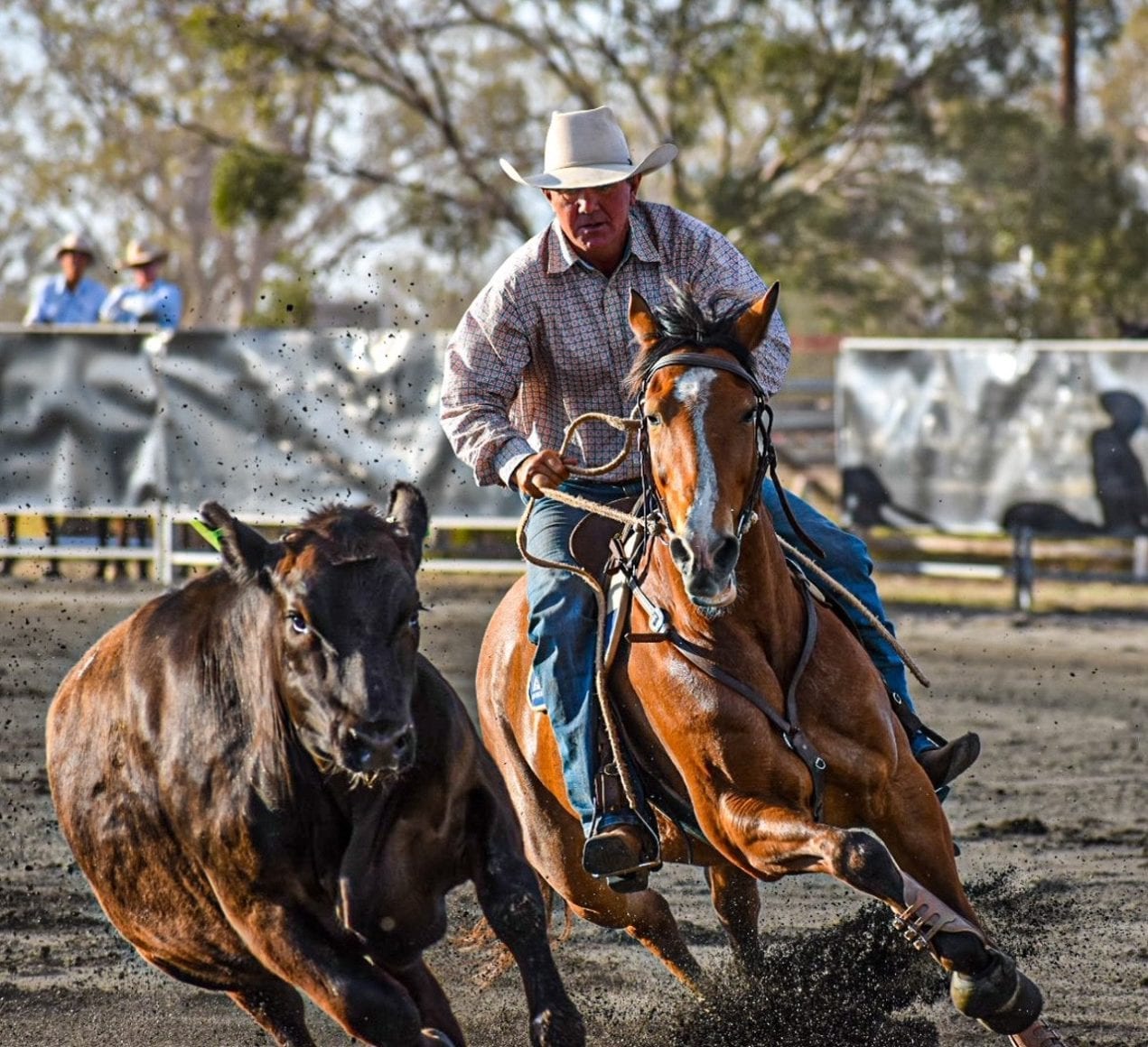 Rohan Marks campdrafting Rohan Marks