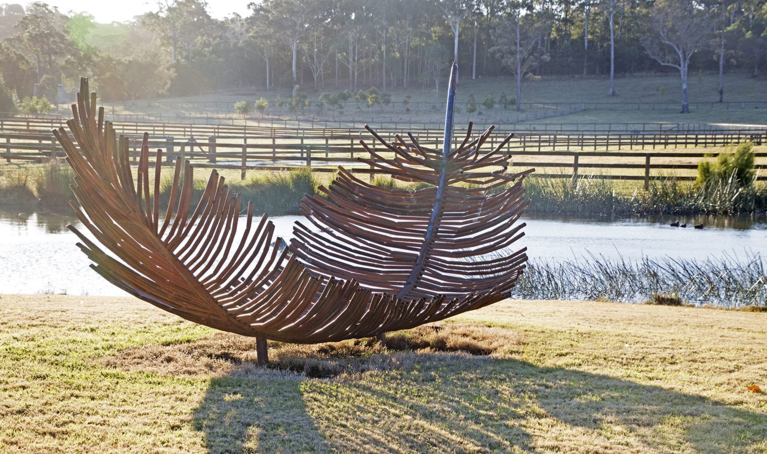 Feather by Tobias Bennett