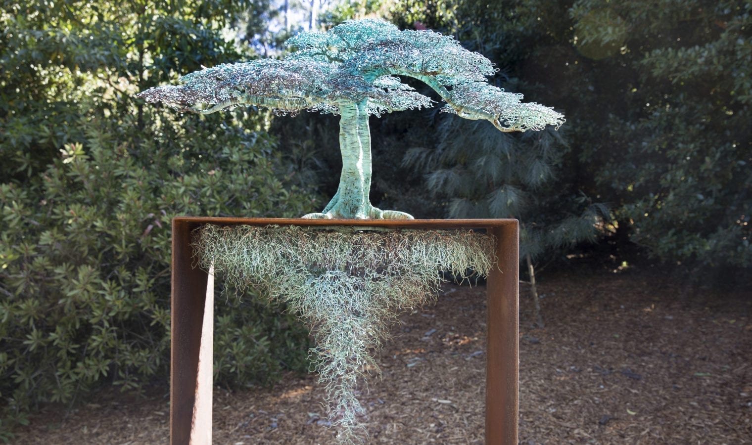 Tree of Life by Ulan Murray