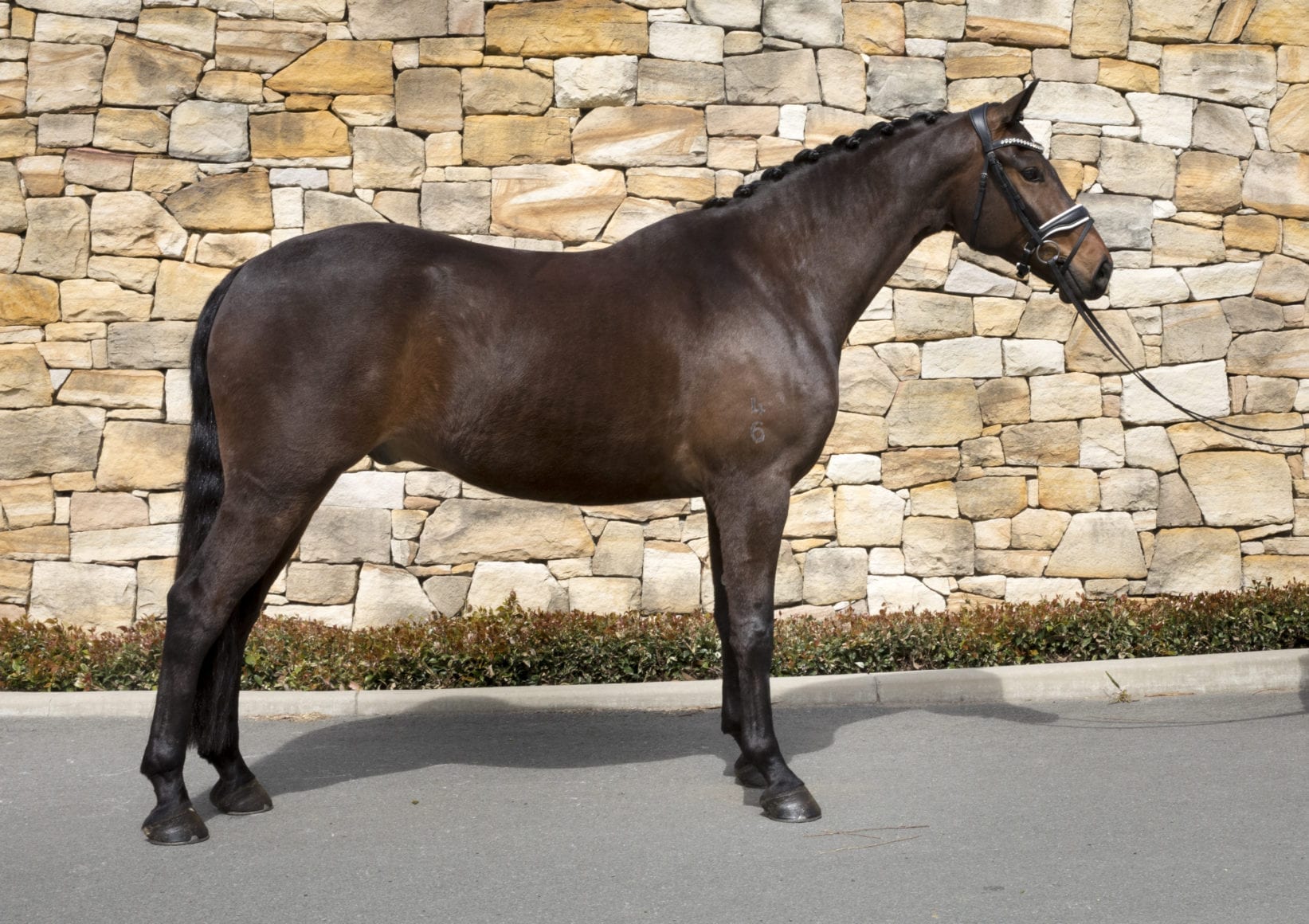 20200925_0042aCrop Jethro 20200925_0042aCrop Jethro