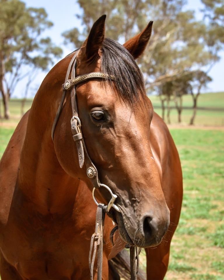 Head shot- convoy Head shot- convoy