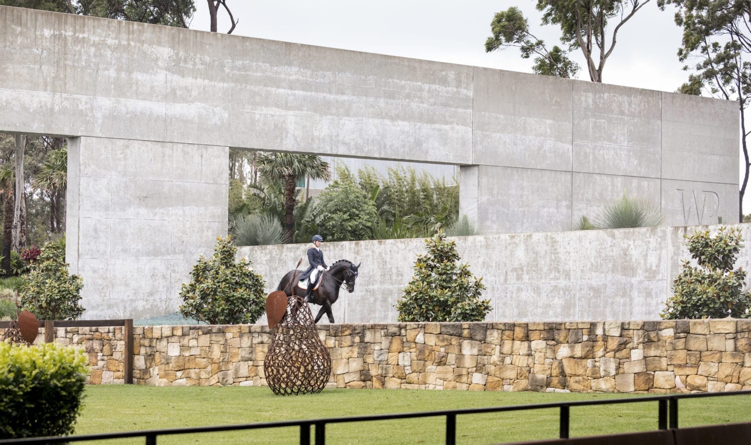 John Thompson- Dressage @ Willinga John Thompson- Dressage @ Willinga