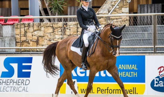 WD115342-Jessica Dertell and 'Gladstone M.H.' win the class with a score of 71.667% WD115342-Jessica Dertell and 'Gladstone M.H.' win the class with a score of 71.667%