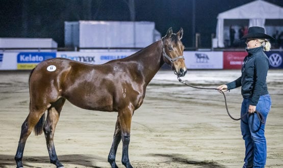 GB114822 Lot 11 GB114822 Lot 11