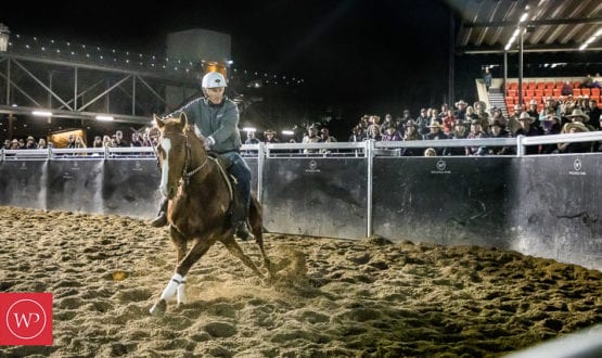 Andrew Turvey and Cats N Roses' Andrew Turvey and Cats N Roses'