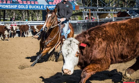 Michael Hiscock and 'Mewburn Tip Top' Michael Hiscock and 'Mewburn Tip Top'