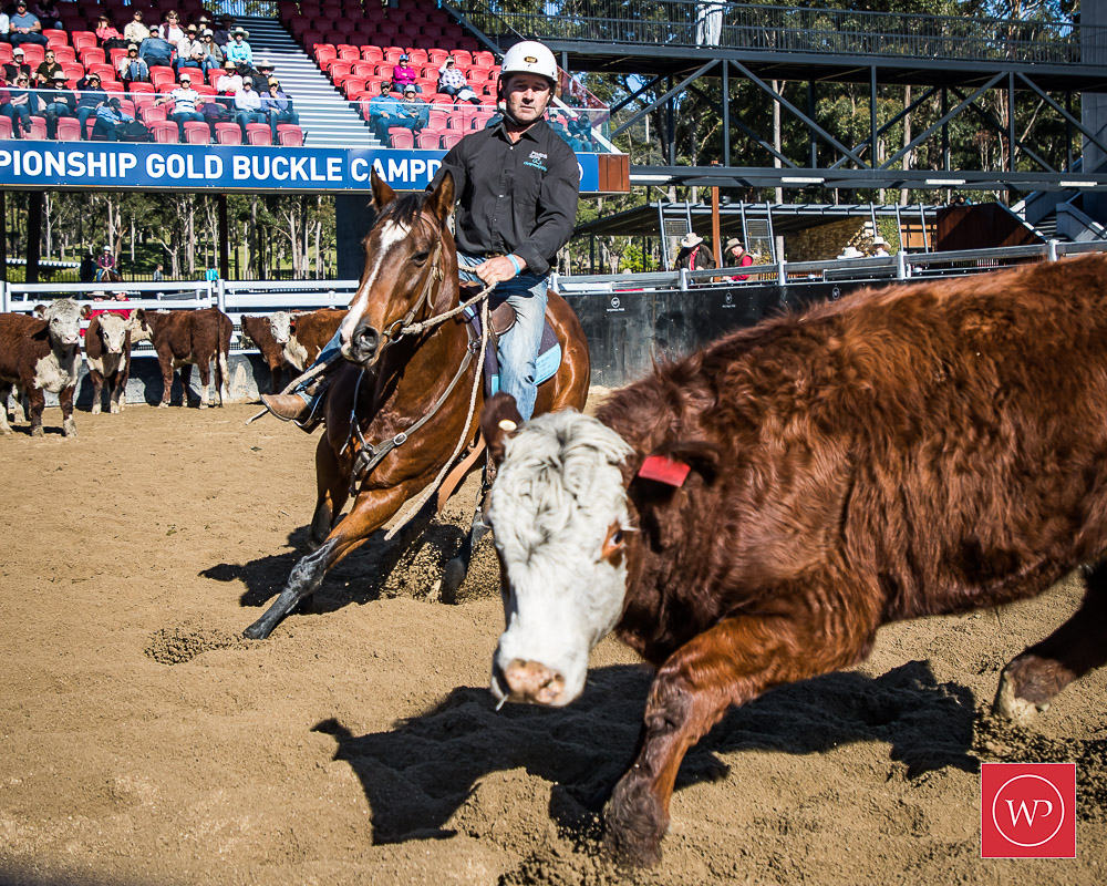 GB121564-Michael Hiscock and 'Mewburn Tip Top'in the camp GB121564-Michael Hiscock and 'Mewburn Tip Top'in the camp