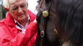 Bad in Black Bad in Black