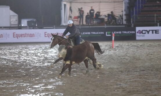 Screenshot 2022-05-19 135311 Screenshot 2022-05-19 135311