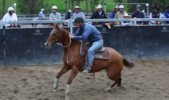 Screenshot 2022-05-19 135504 Screenshot 2022-05-19 135504