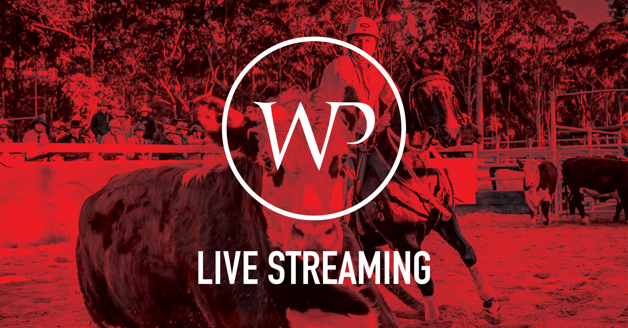 WP-campdraft facebook live streaming 1200x682_FA WP-campdraft facebook live streaming 1200x682_FA
