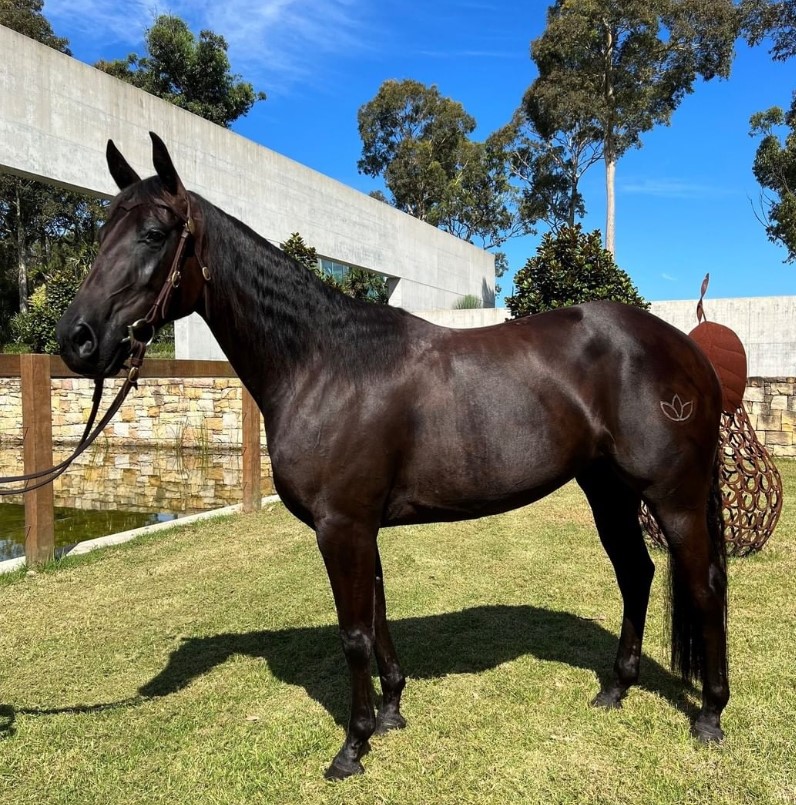 Screenshot 2022-06-28 143521 Screenshot 2022-06-28 143521