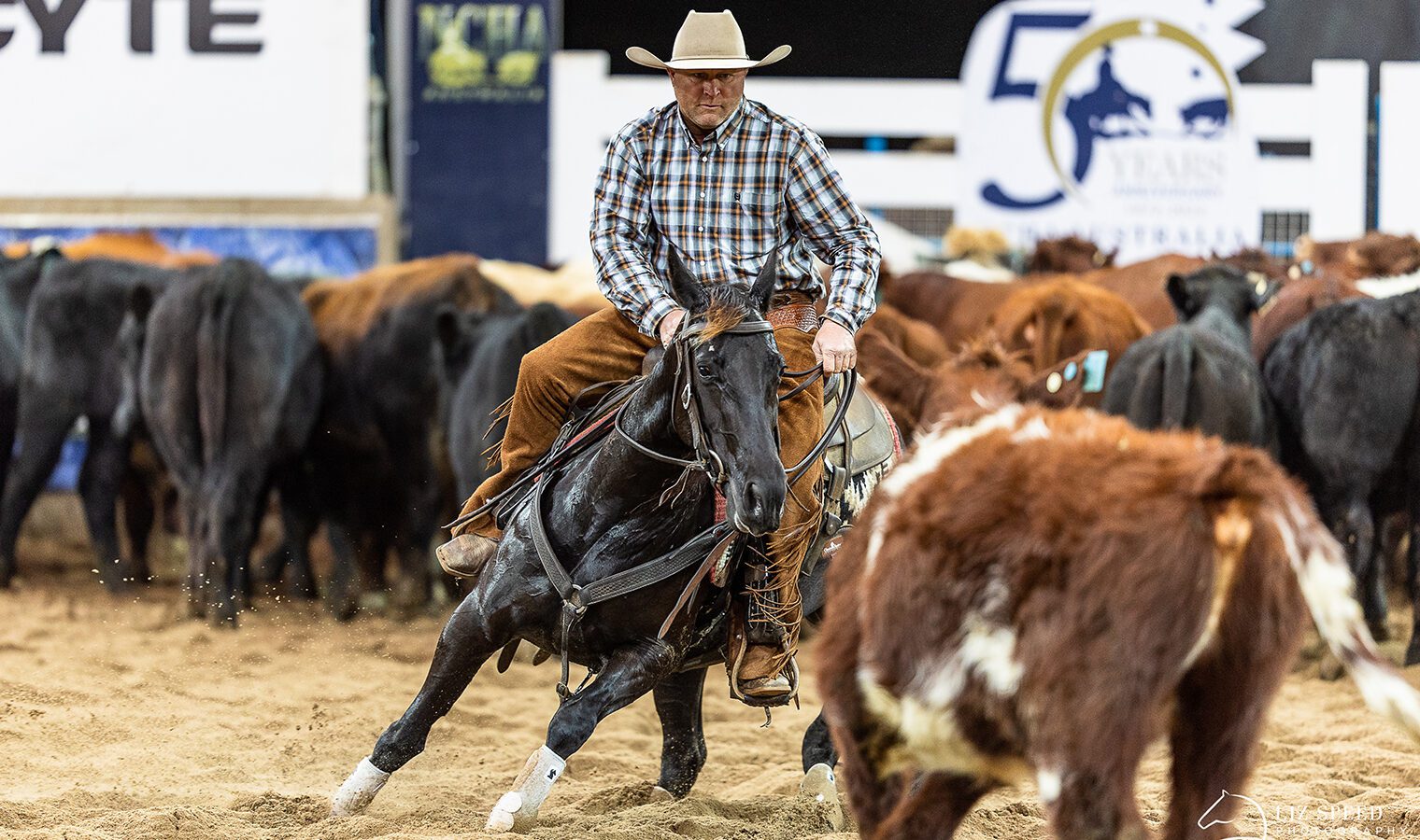 bad in black web bad in black web