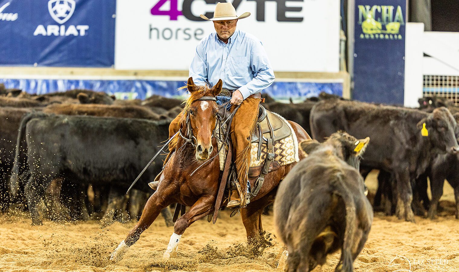 lou elegance web lou elegance web